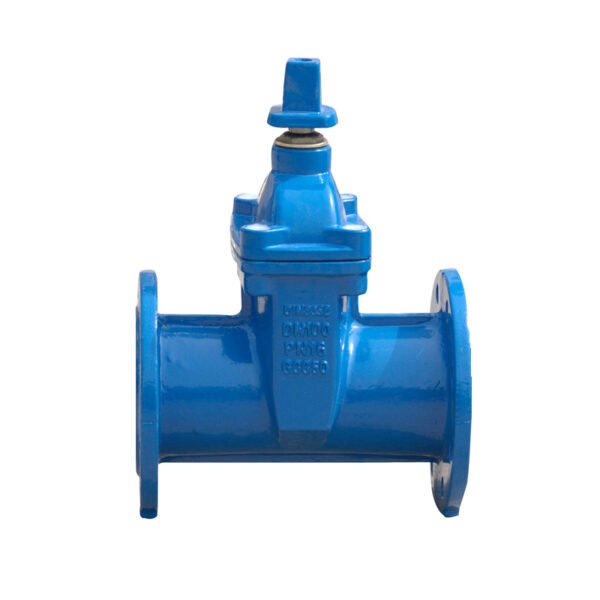 Resilient Seated Gate Valve - Image 2