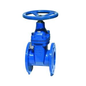 Resilient Seated Gate Valve
