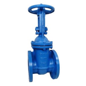 Rising Stem Metal Seated Iron Gate Valve