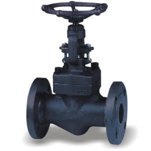Forged Steel Globe Valve