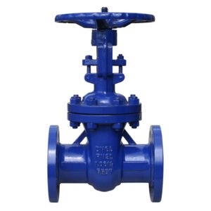 DIN F5 Bolted Bonnet Gate Valve