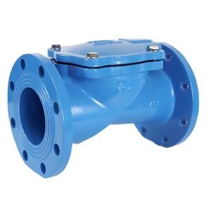 Rubber Disc Water Check Valve